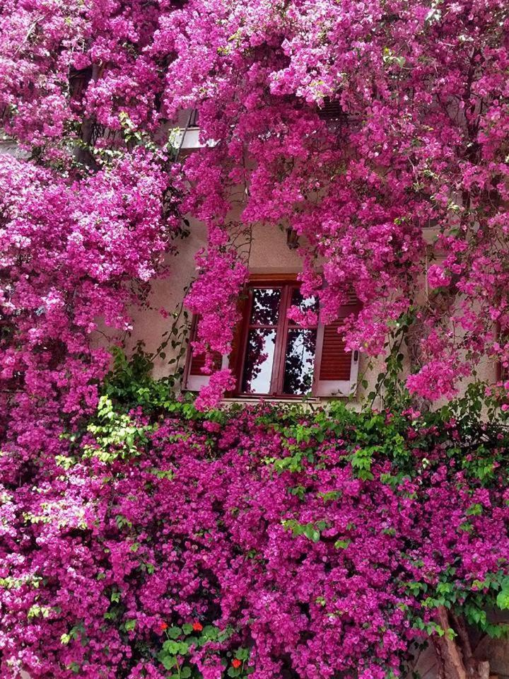 Iliolithos Rooms Kardamyli Exterior photo
